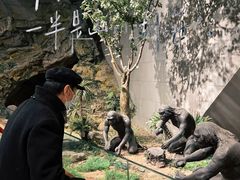 -北京周口店北京人遗址博物馆