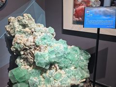 -湖南省地质博物馆