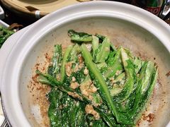 -三强鸽子(中原路店)