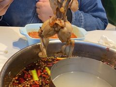 -蛙两只美蛙鱼头火锅(恒茂店)
