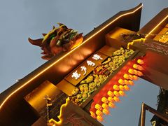 -武汉园博园(武汉自然博物馆)