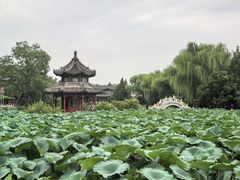 -莲池书院博物馆