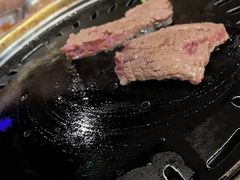 -杨小佳·齐齐哈尔烤肉·烤串(广州店)