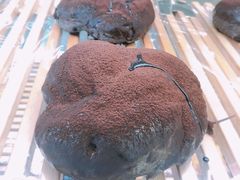 -Mnemosyne尼莫西妮(香港城店)
