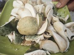 -乙丙丁正宗昭通天麻火腿鸡(总店)