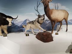 -陕西自然博物馆