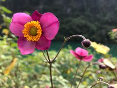 -狮子关旅游区
