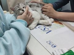 -伟伟宠物医院·瑞派猫友好医院·猫科(光谷店)