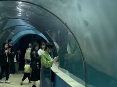 -苏州海洋馆