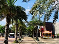 -三亚海昌梦幻海洋不夜城