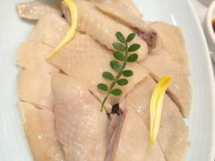 -欢乐海岸美食联盟