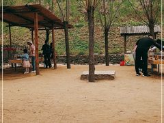 -西部长青自然儿童乐园