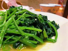 菠菜-印象江南(东栅店)