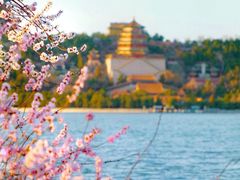 -颐和园