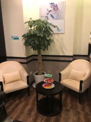 -史云逊养发护发