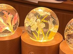 -二酉书店TOYOU BOOKS