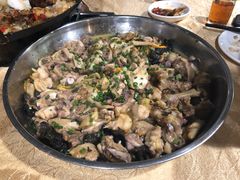 -龙回山庄