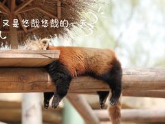 -北京动物园