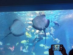 -常州海昌海洋探索馆