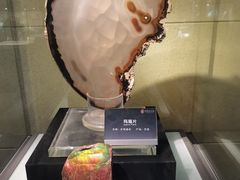 -中华赏石园
