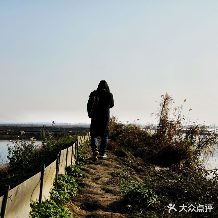 武汉小众景点沉湖湿地公园一日游攻略
