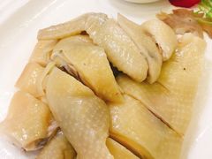 -清心鸡沙田乳鸽店·非遗传承(粤垦路店)