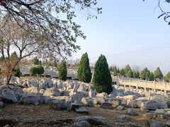 -原山国家森林公园