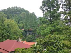 -莫干山风景区