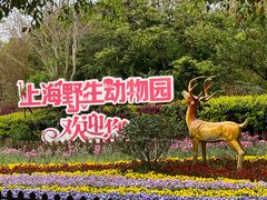 -上海野生动物园