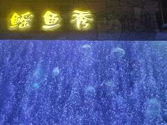 -合肥海洋世界