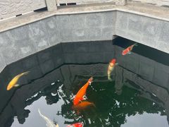 -西安市广仁寺