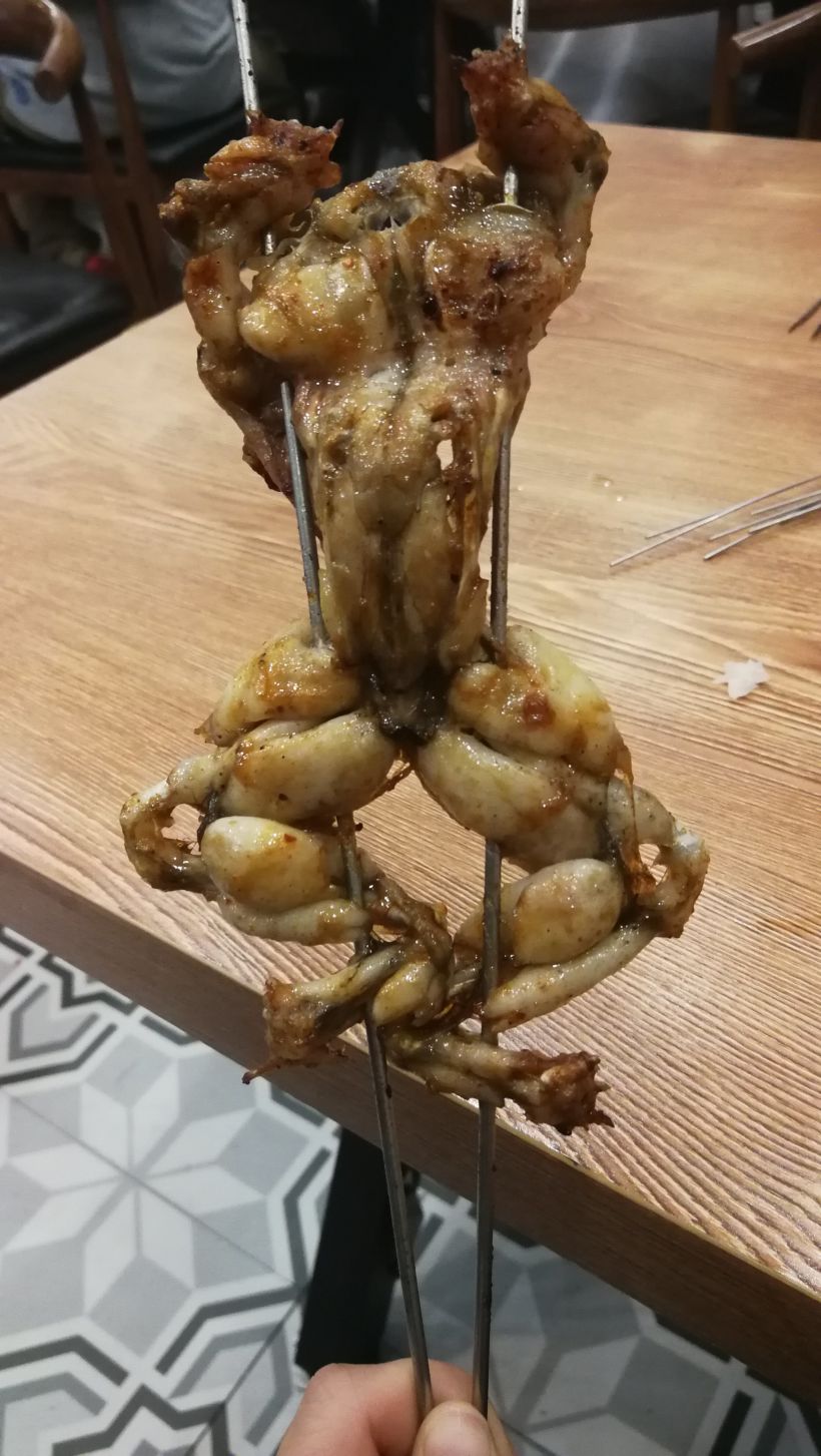 牛蛙长的像健美的肌肉猛男!