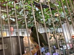 -九尊食上(生态园林酒店)