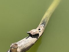 -天目湖御水温泉·度假酒店