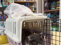 -瑞鹏宠物医院·骨科·猫科·内科(第一中心)