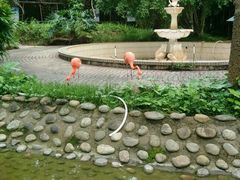 -广东茂名森林公园