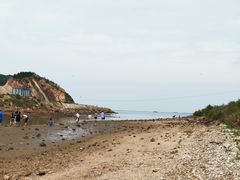 -西中岛海滨