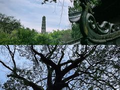 -天台山国清景区(国清寺)