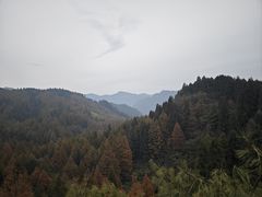 -山王坪喀斯特国家生态公园