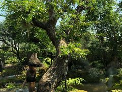 -Chom Cafe and Restaurant