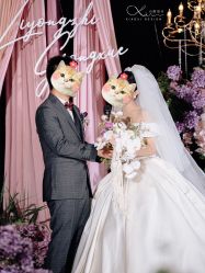 -南昌喜来登酒店·宴会厅