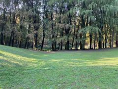 -上海植物园·停车场