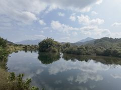 -广州市流溪河国家森林公园