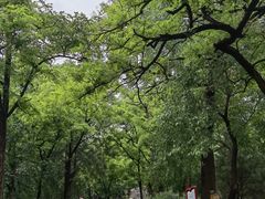 -阳台山自然风景区