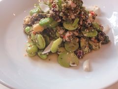 蚕豆-泓0871臻选云南菜·味庄