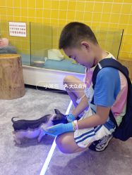 -神奇动物撸宠馆·羊驼·小浣熊·异宠(豫园店)