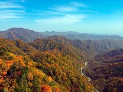 -秦岭风景区