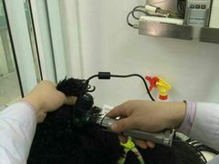 android_upload_pic-康乐宝动物医院