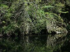 -素山寺森林公园