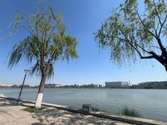 -天津东丽湖风景区